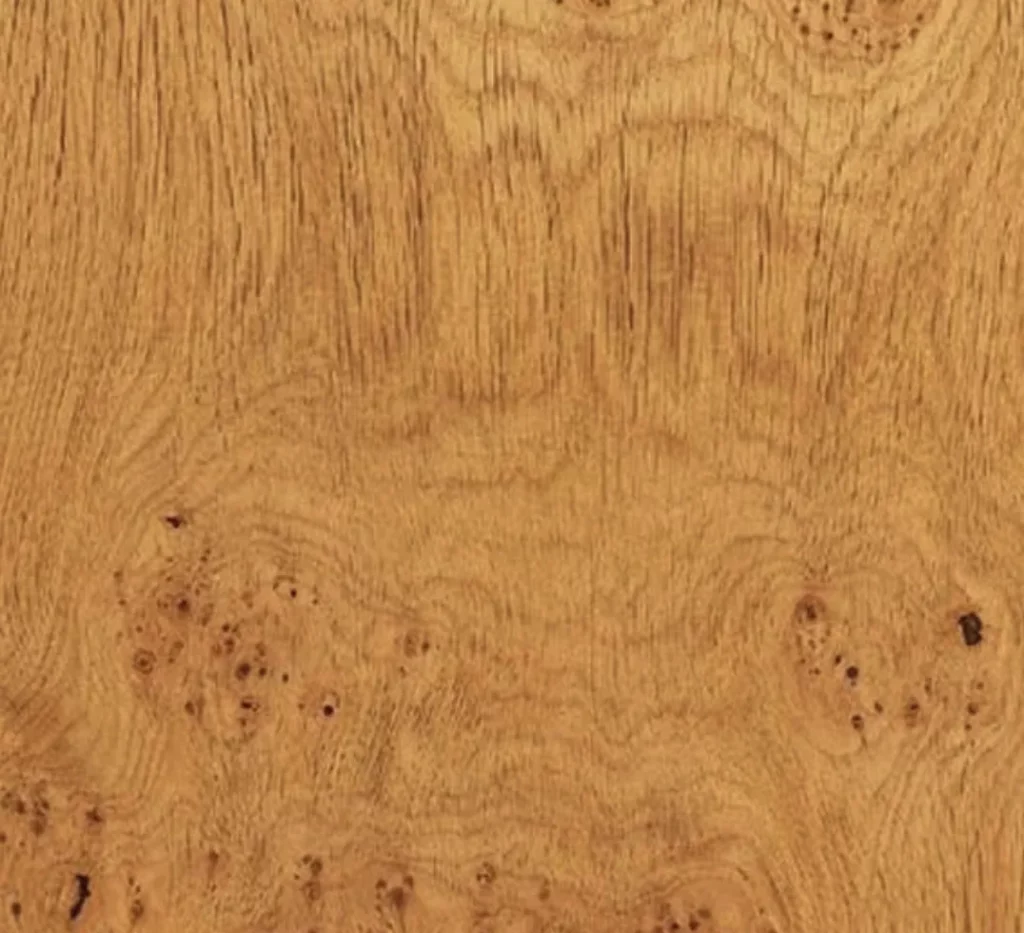 Pippy oak, with clusters of small burr pips through the grain